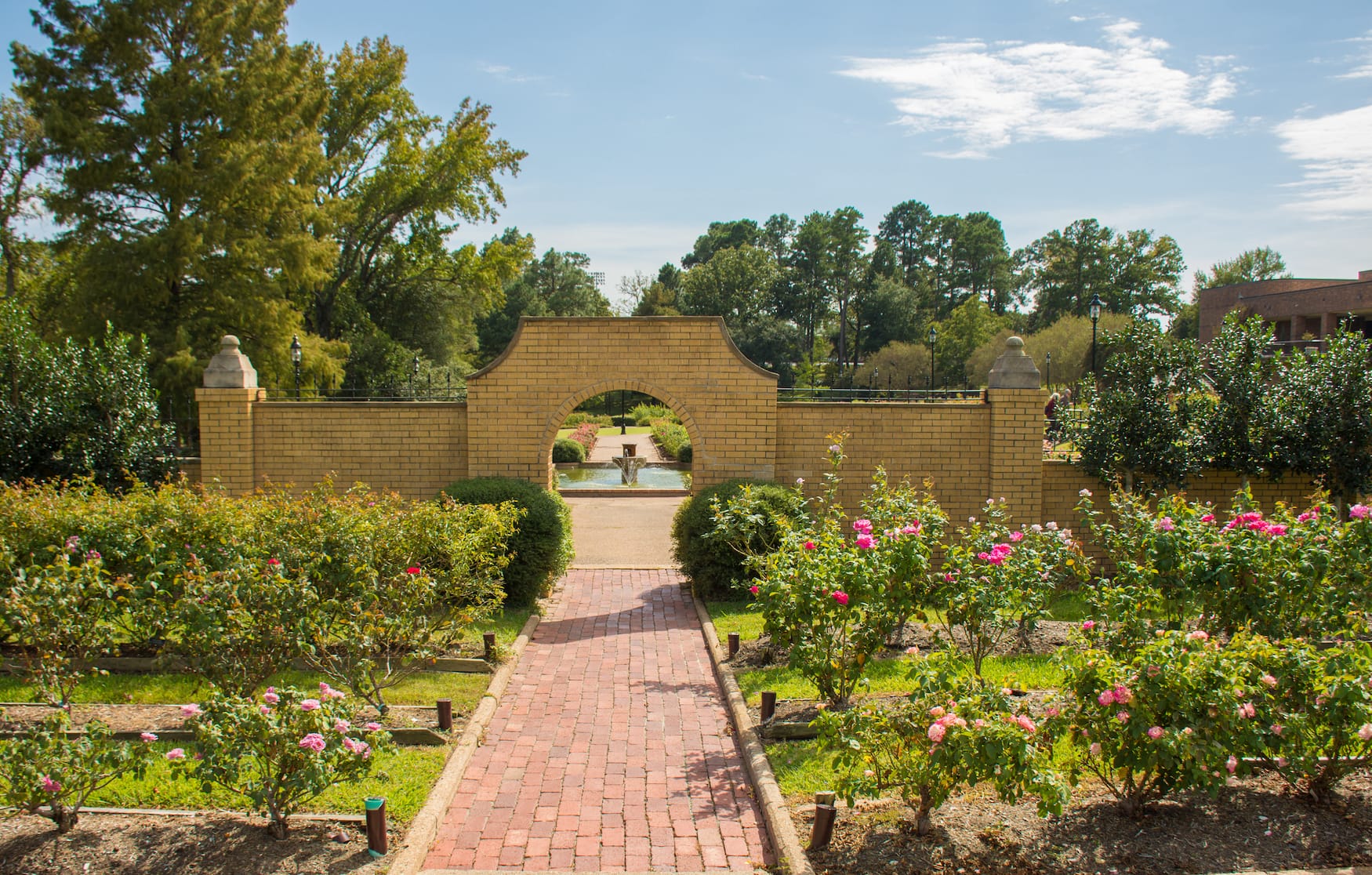 Rosengarten in Tyler