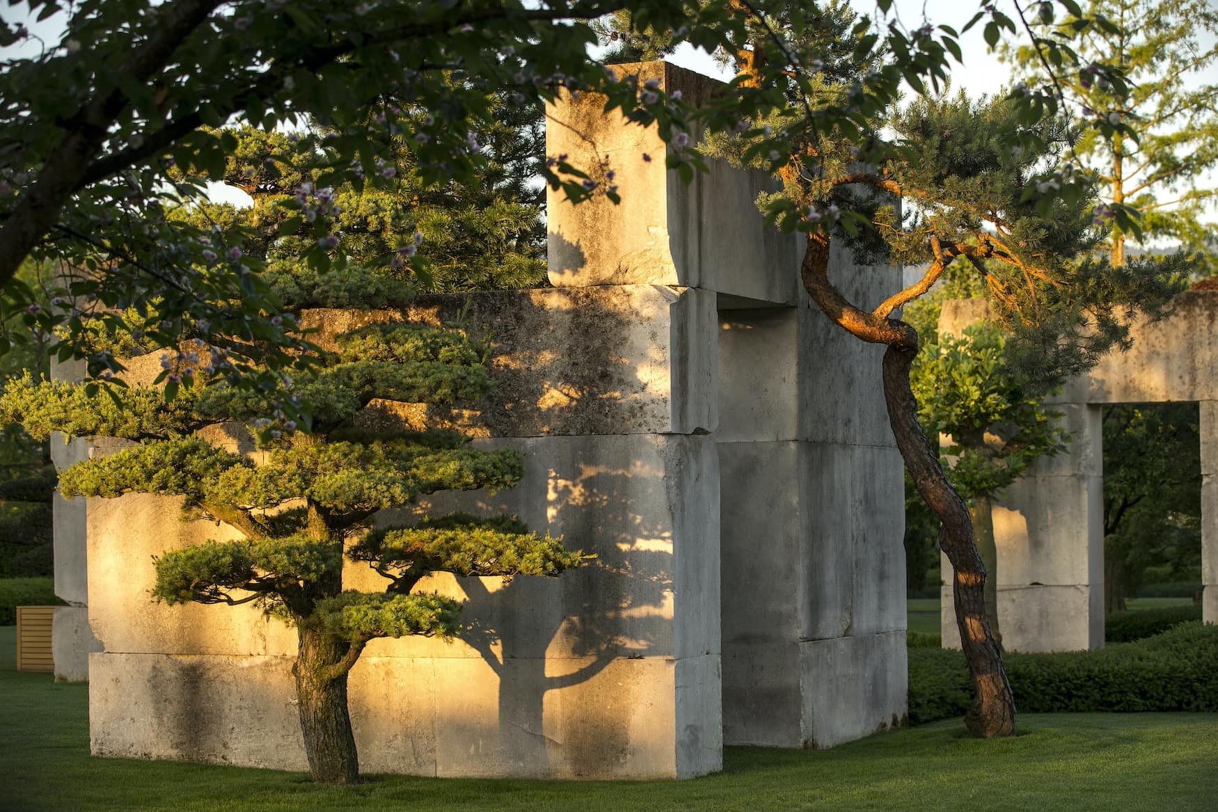 Rapperswil Enea Baummuseum