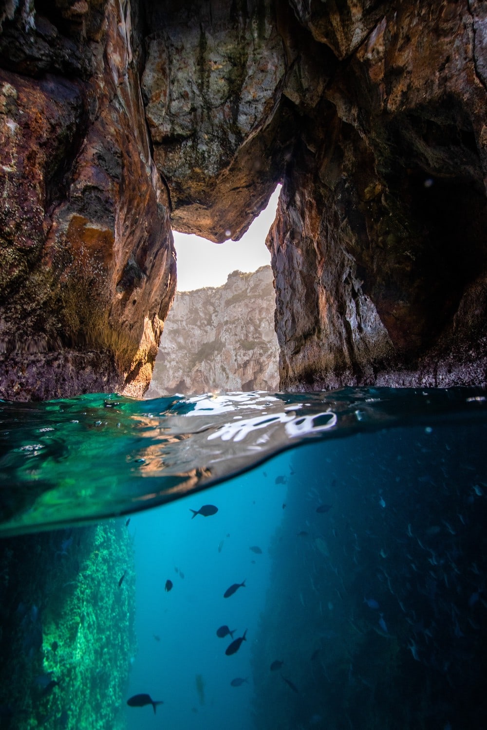 Poor Knights Islands unter Wasser
