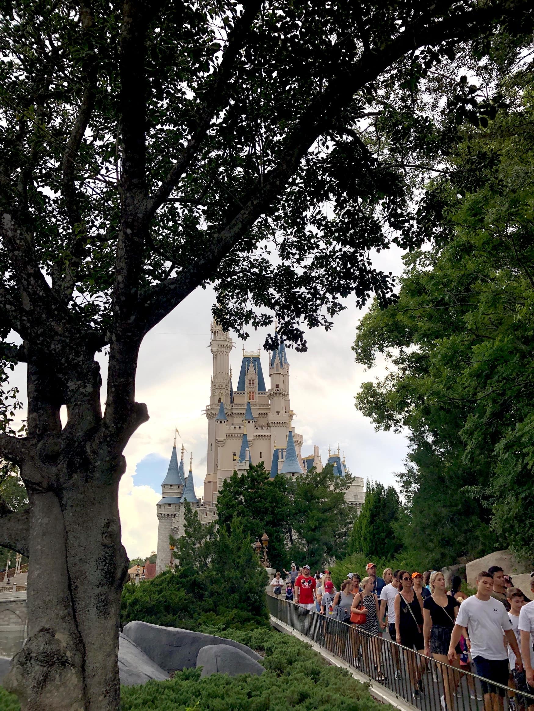 Menschenmassen in Disney World