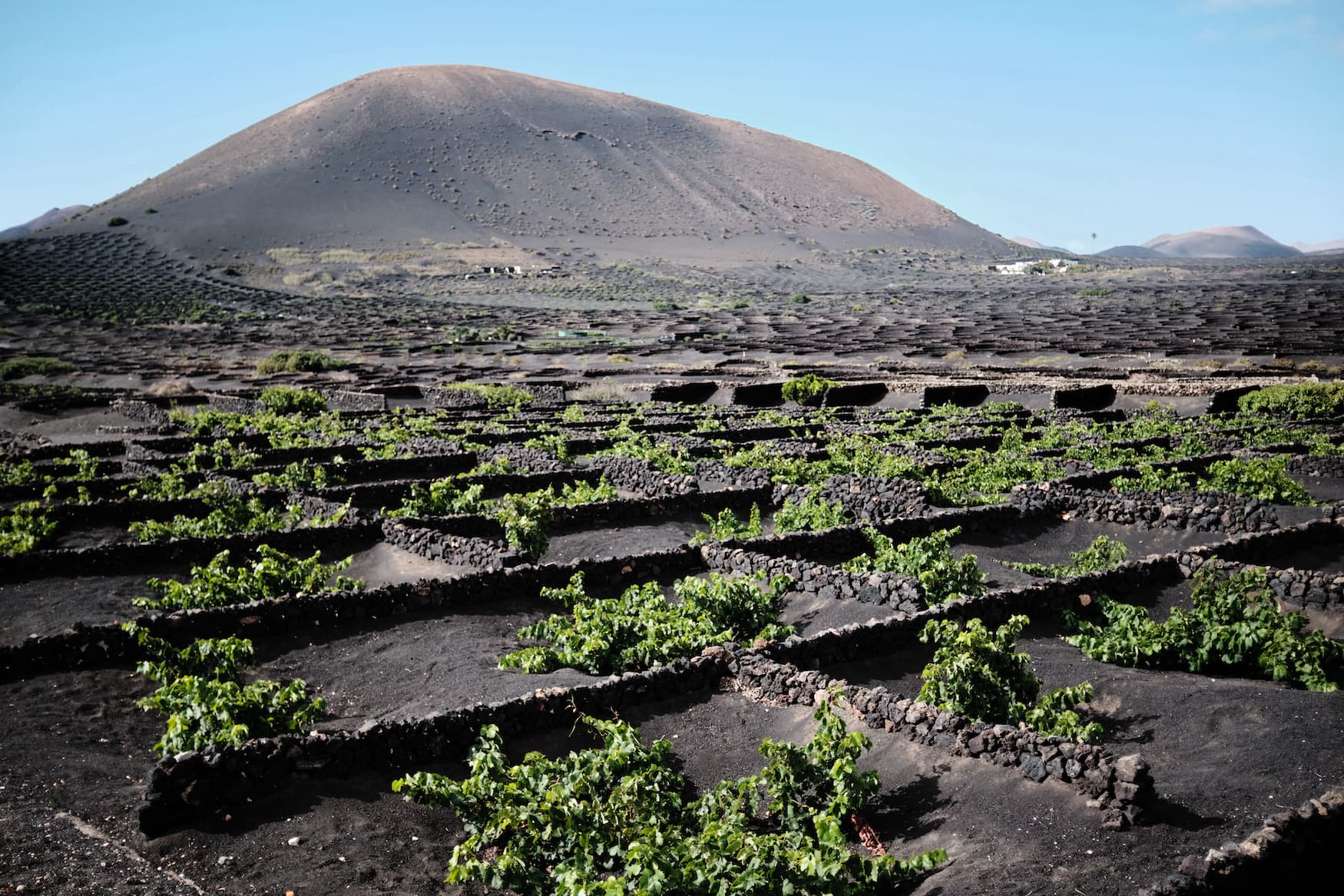 Vulkan auf Lanzarote