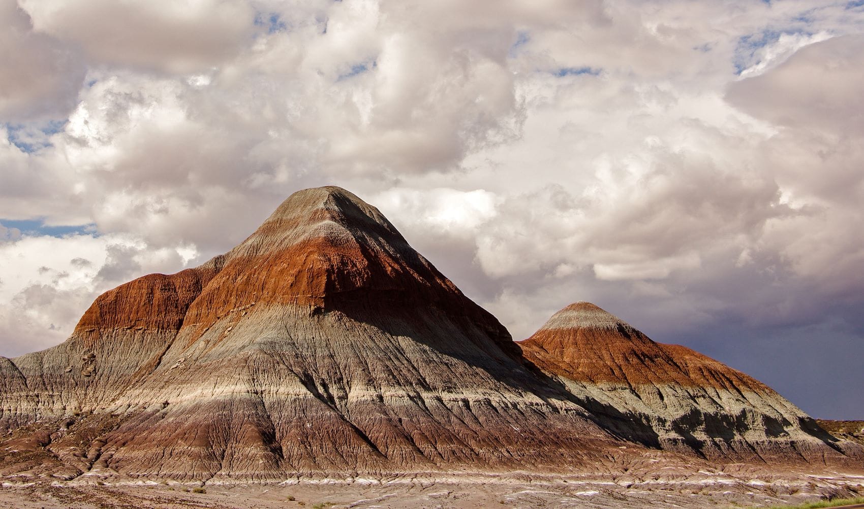 Landschaft Petrified Forest National Park