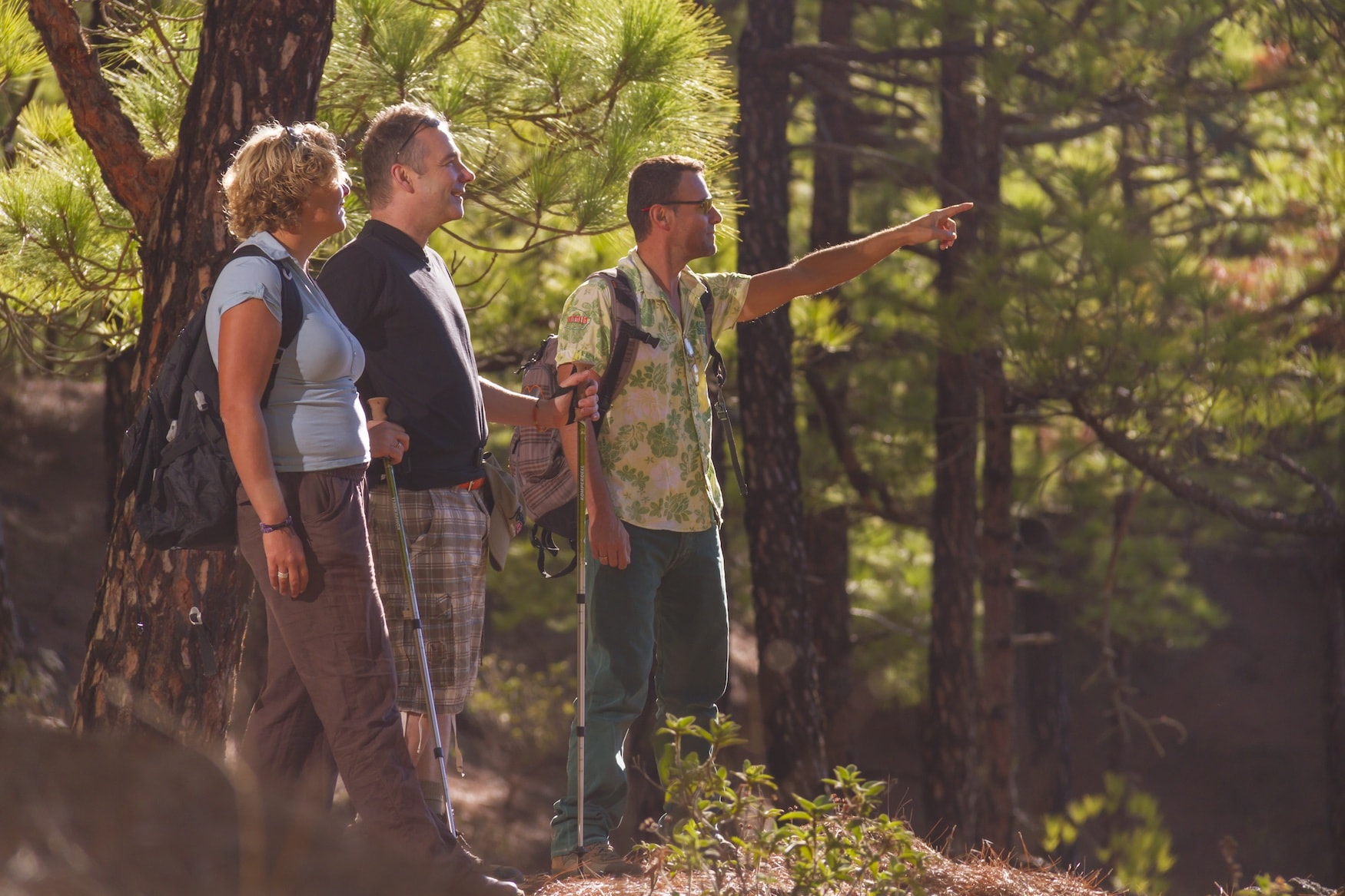 Wandern auf La Palma