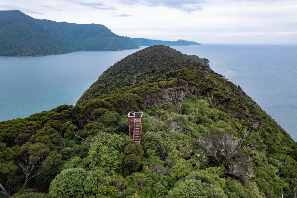 Motuara Bird Sanctuary in Neuseeland