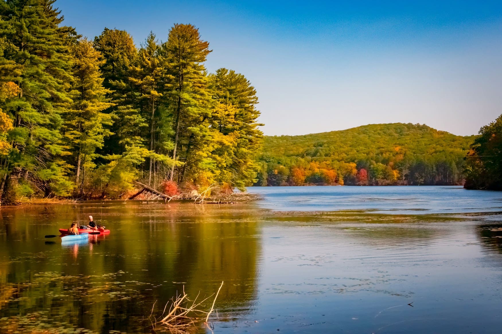 Harriman State Park in New York