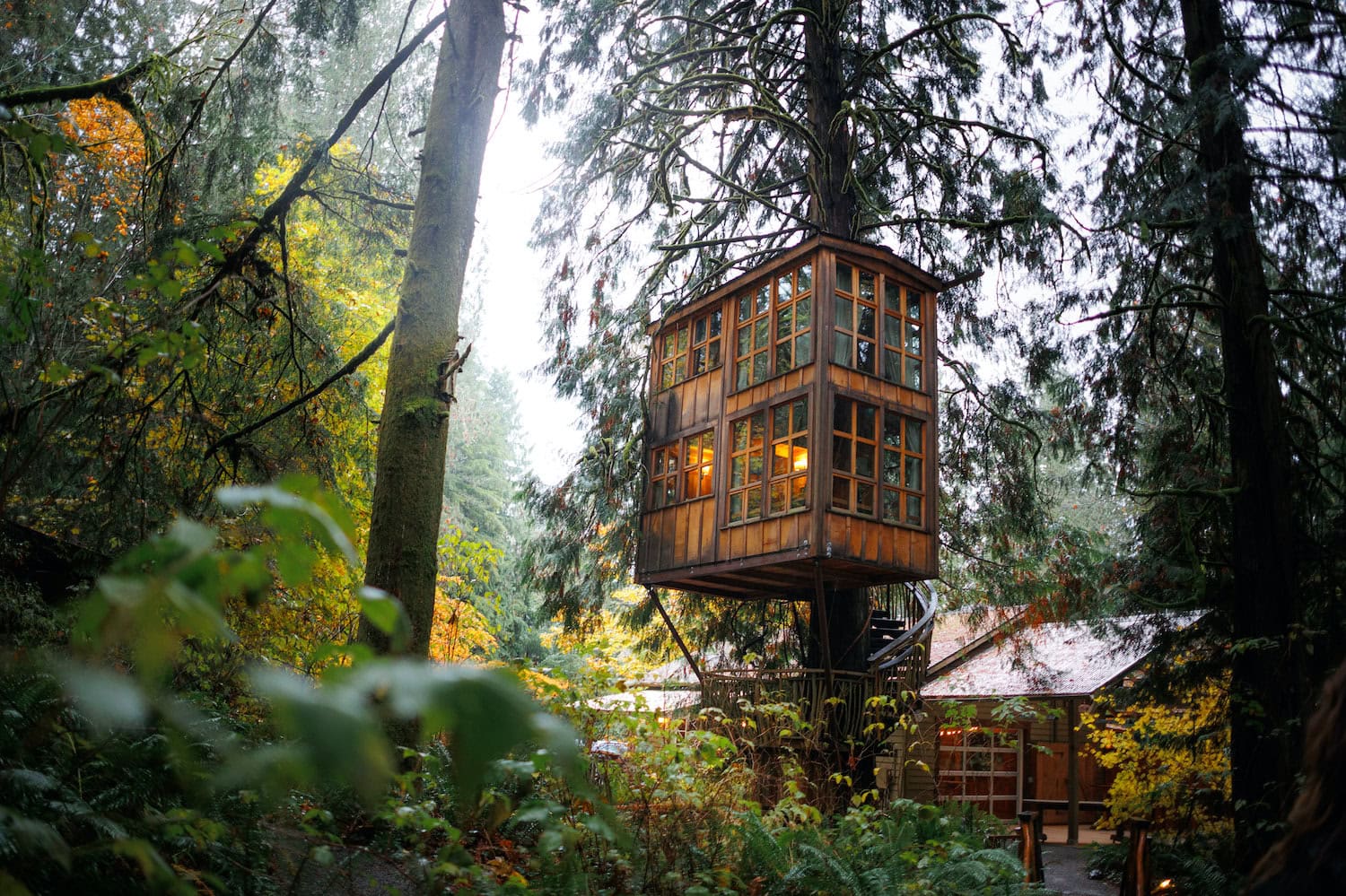 Ein Baumhaus im Treehouse Point im nachhaltigen Urlaub