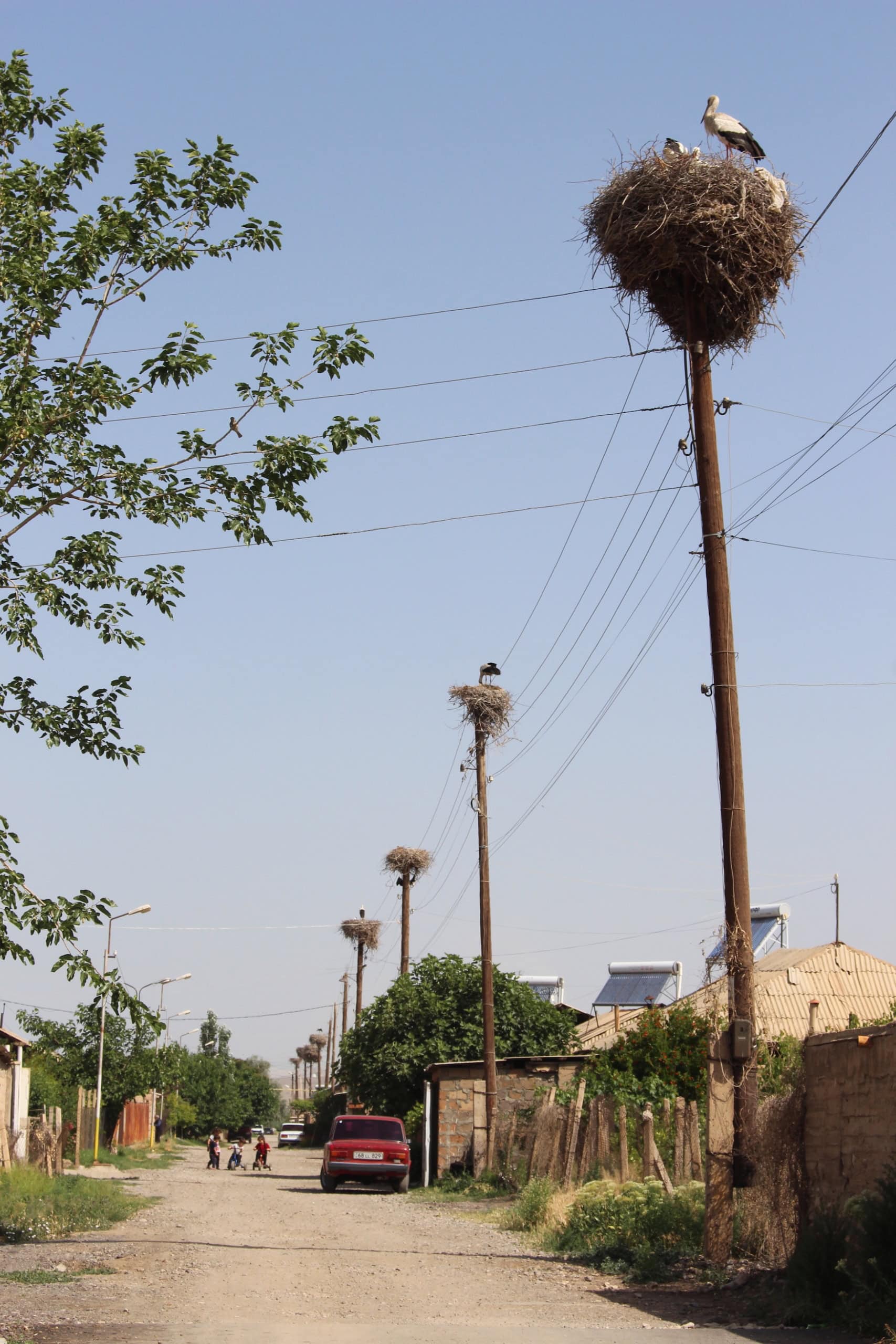 Dorf in Armenien; an einer schmalen Straße, auf der einige Kinder spielen, steht eine Reihe an Telefon- oder Strommasten. Auf jedem einzelnen thront ein Storchennest, im vordersten sind zwei der Vögel zu sehen.