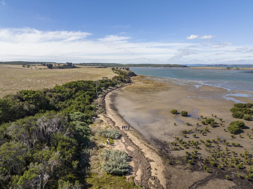 Menschen laufen in der Landschaft in Victoria in Australien