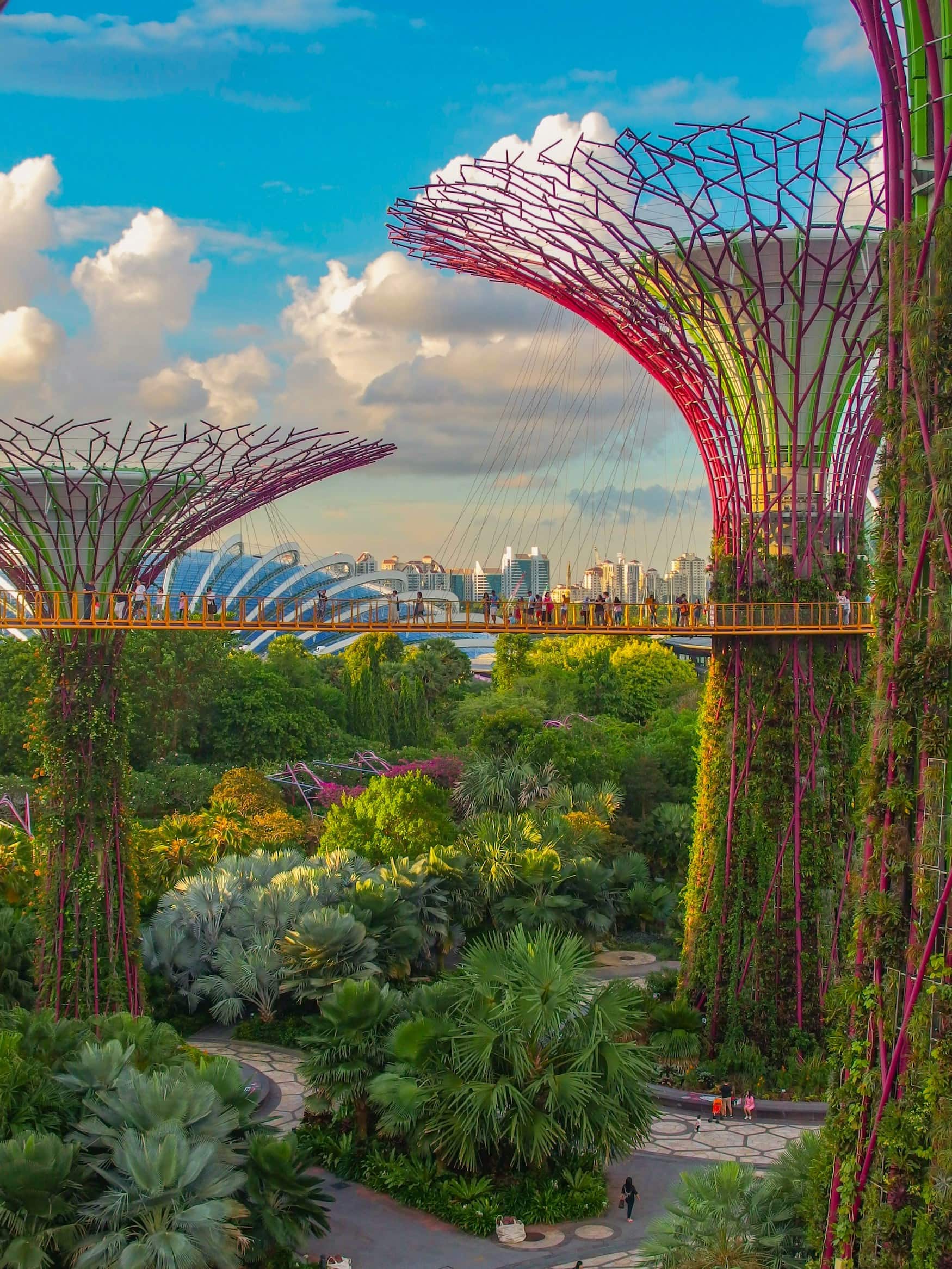 Supertrees in den Gardens by the Bay