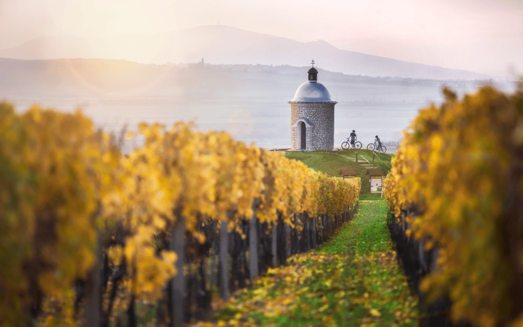 Sommerurlaub in Tschechien: entlang der Weinradroute in Südmähren
