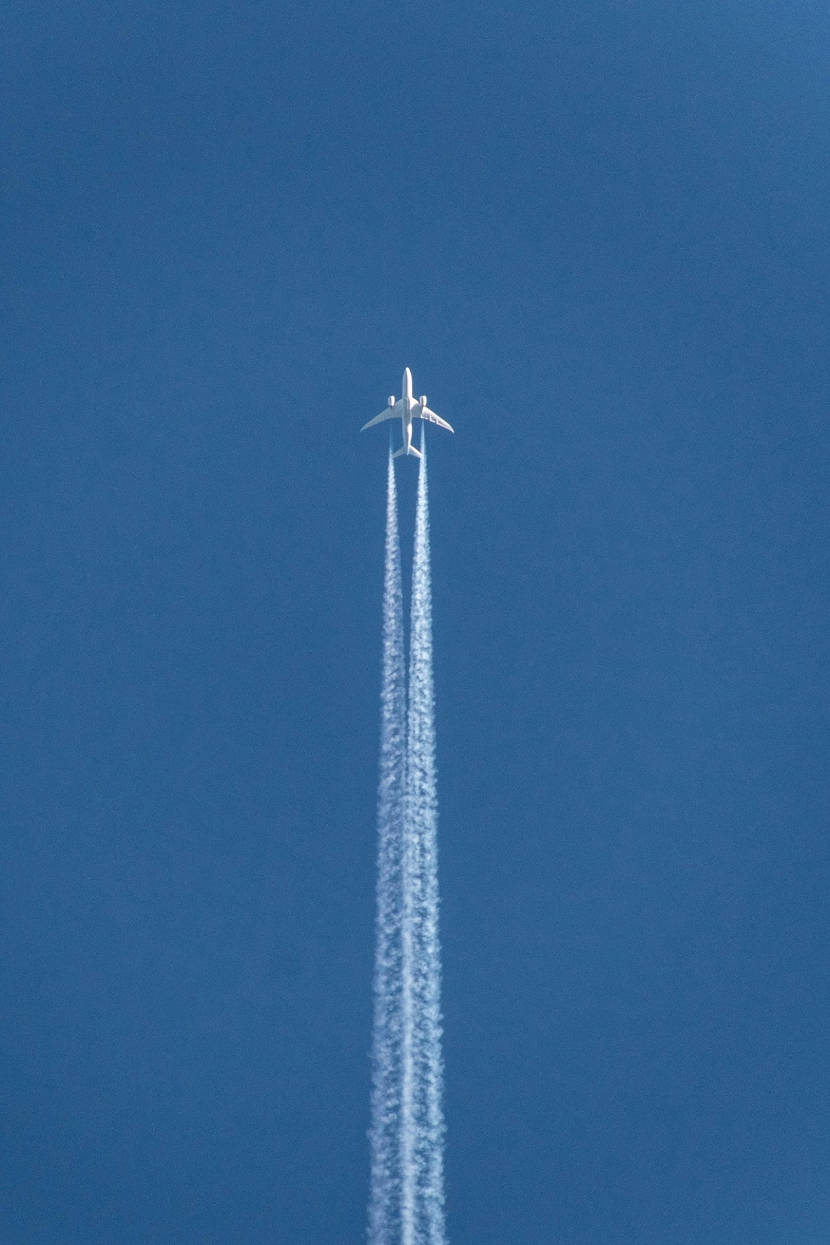 Flugzeug im Himmel: die besten Airlines der Welt