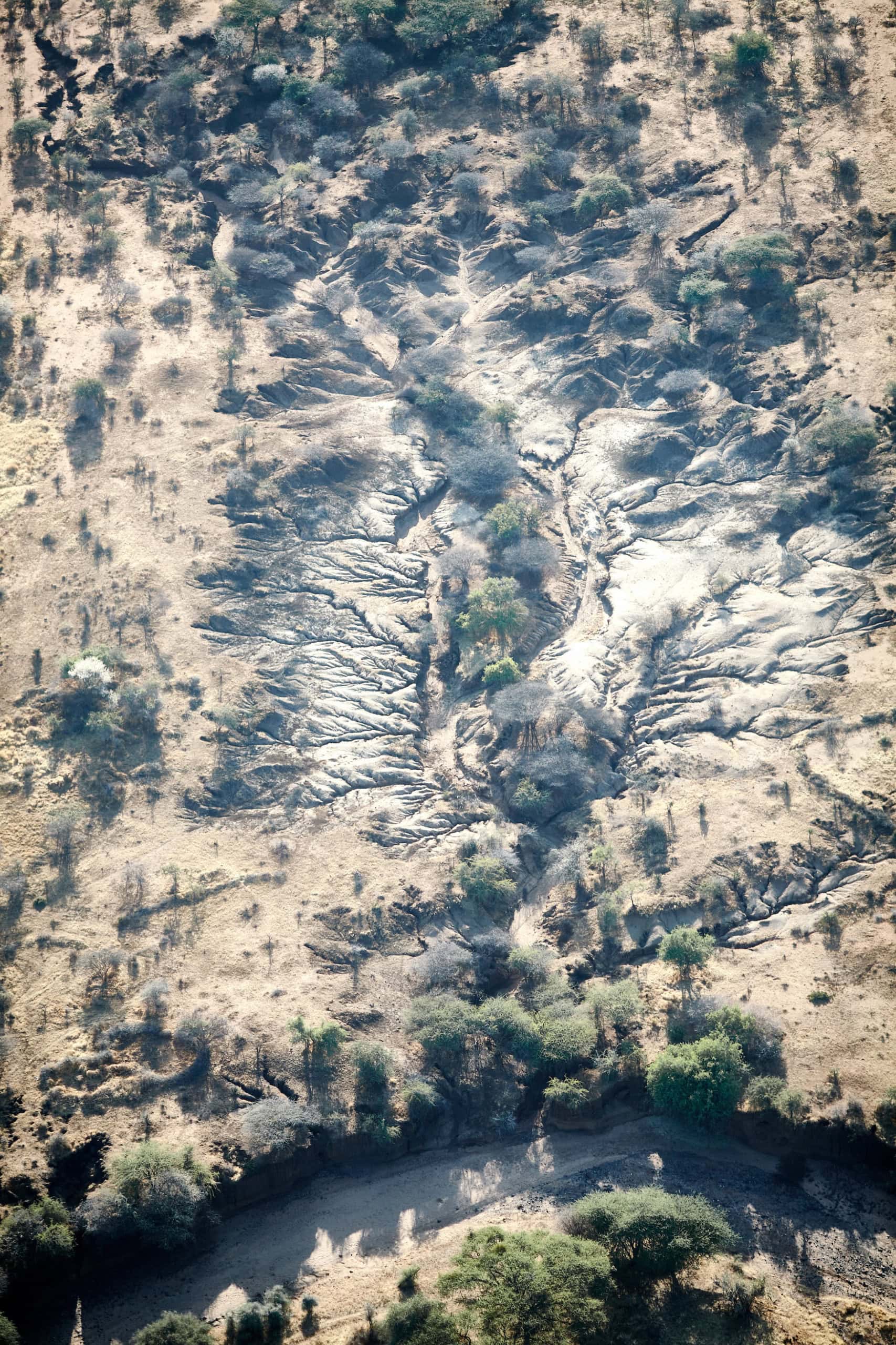 Savanne in Kenia von oben