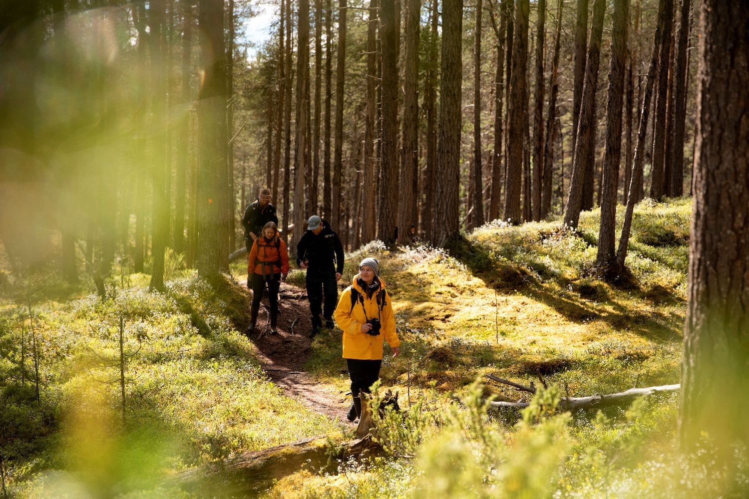 Wanderer erkunden den Lemmenjoki Nationalpark im Urlaub in Lappland
