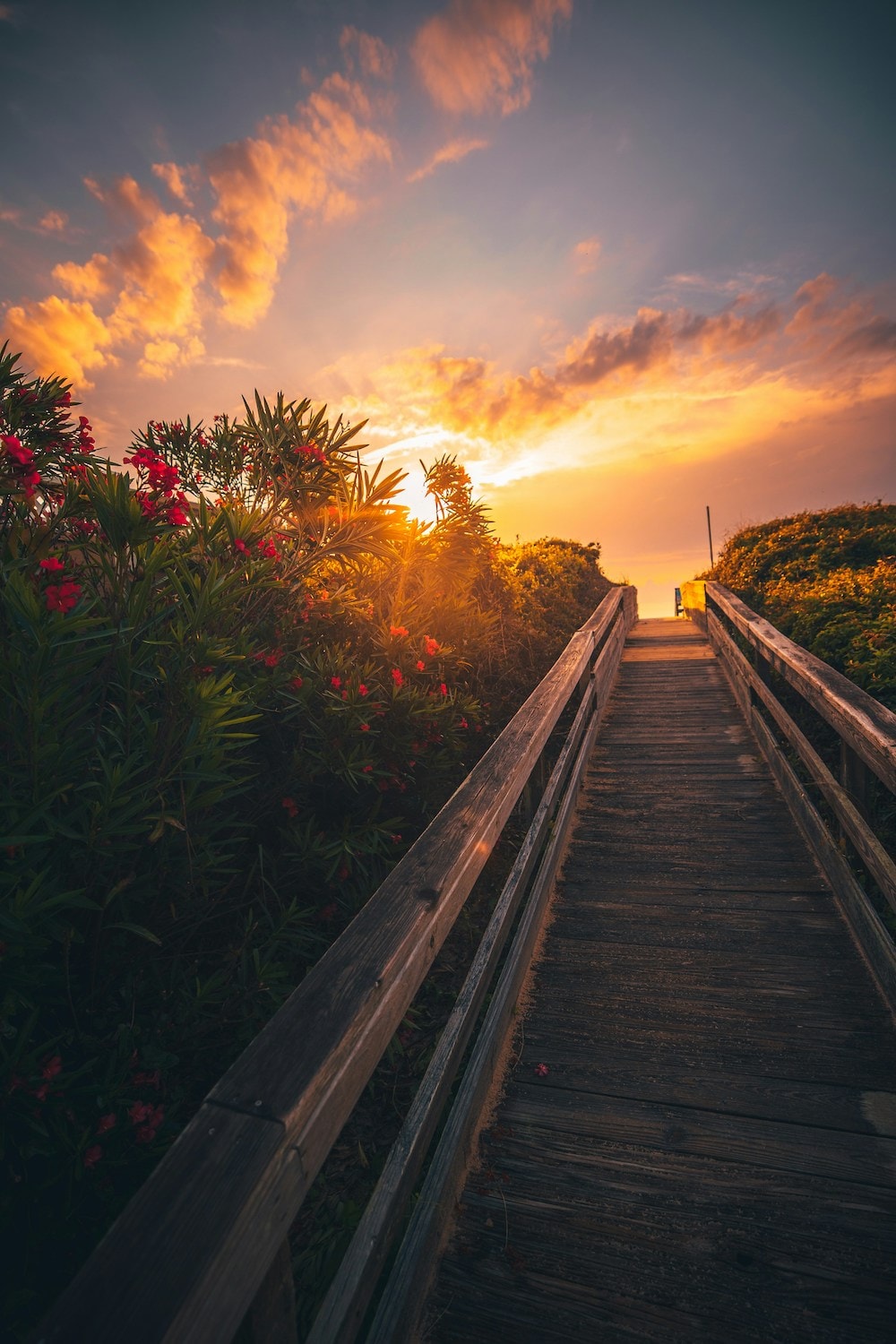 Die Outer Banks in North Carolina waren auch schon Drehort für Filme und Serien