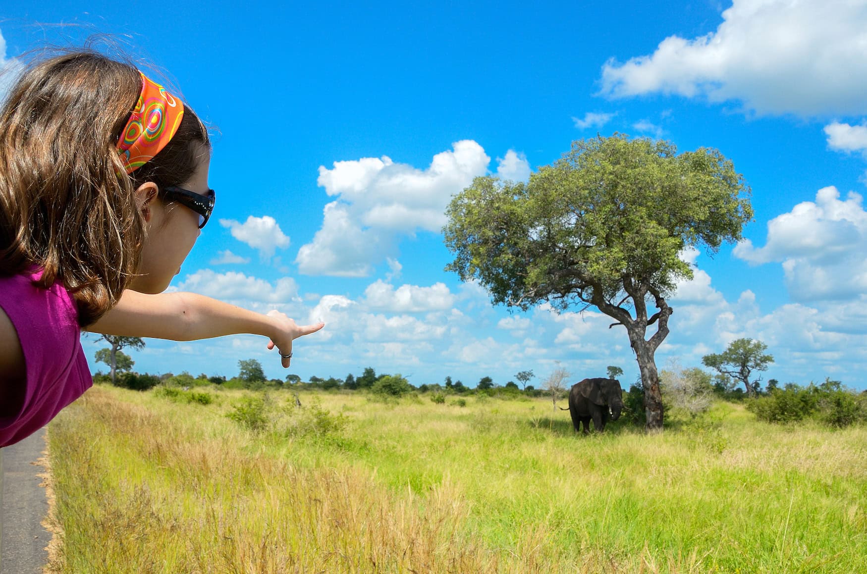 Südafrika Familienurlaub: auf Safari!