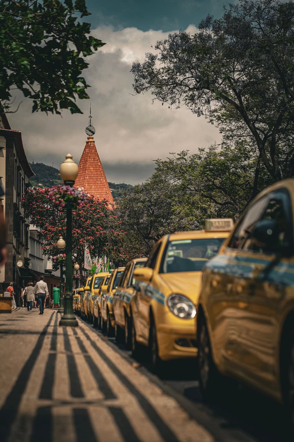 Ein Blick auf die Stadt Funchal auf Madeira mit Bäumen und Taxis