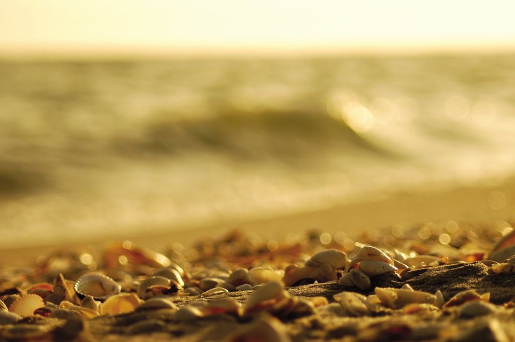 Reich an Muscheln sind die Strände.