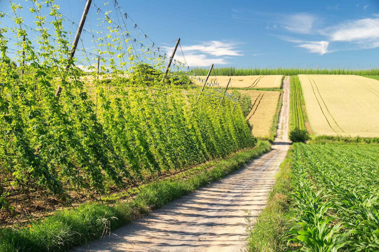 Die Natur im Elsass in Frankreich