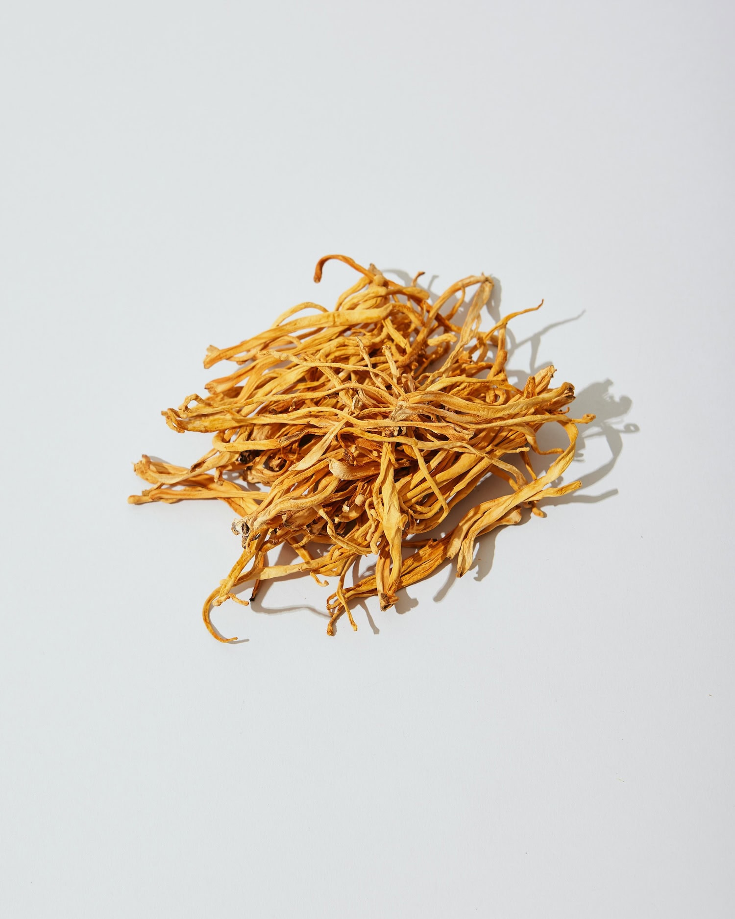 Cordyceps Sinensis