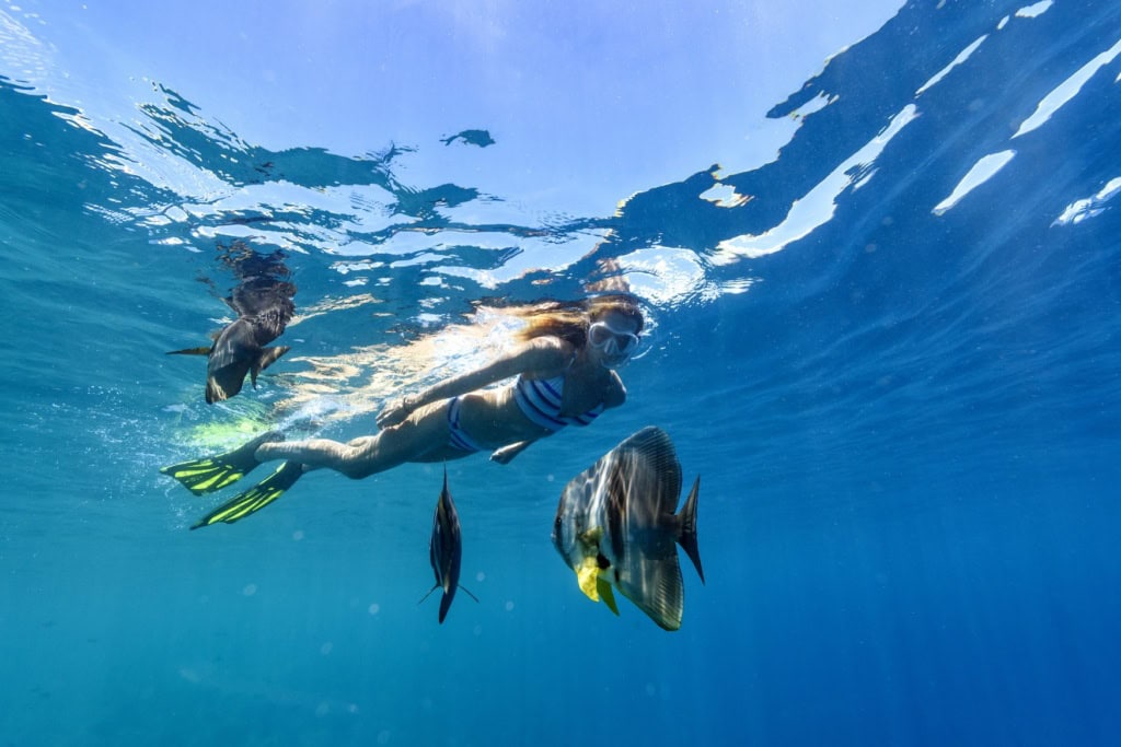 Eine Frau schnorchelt im Meer, neben ihr Fische.