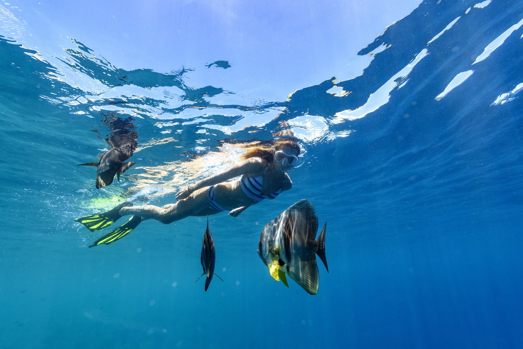 Eine Frau schnorchelt im Meer, neben ihr Fische.