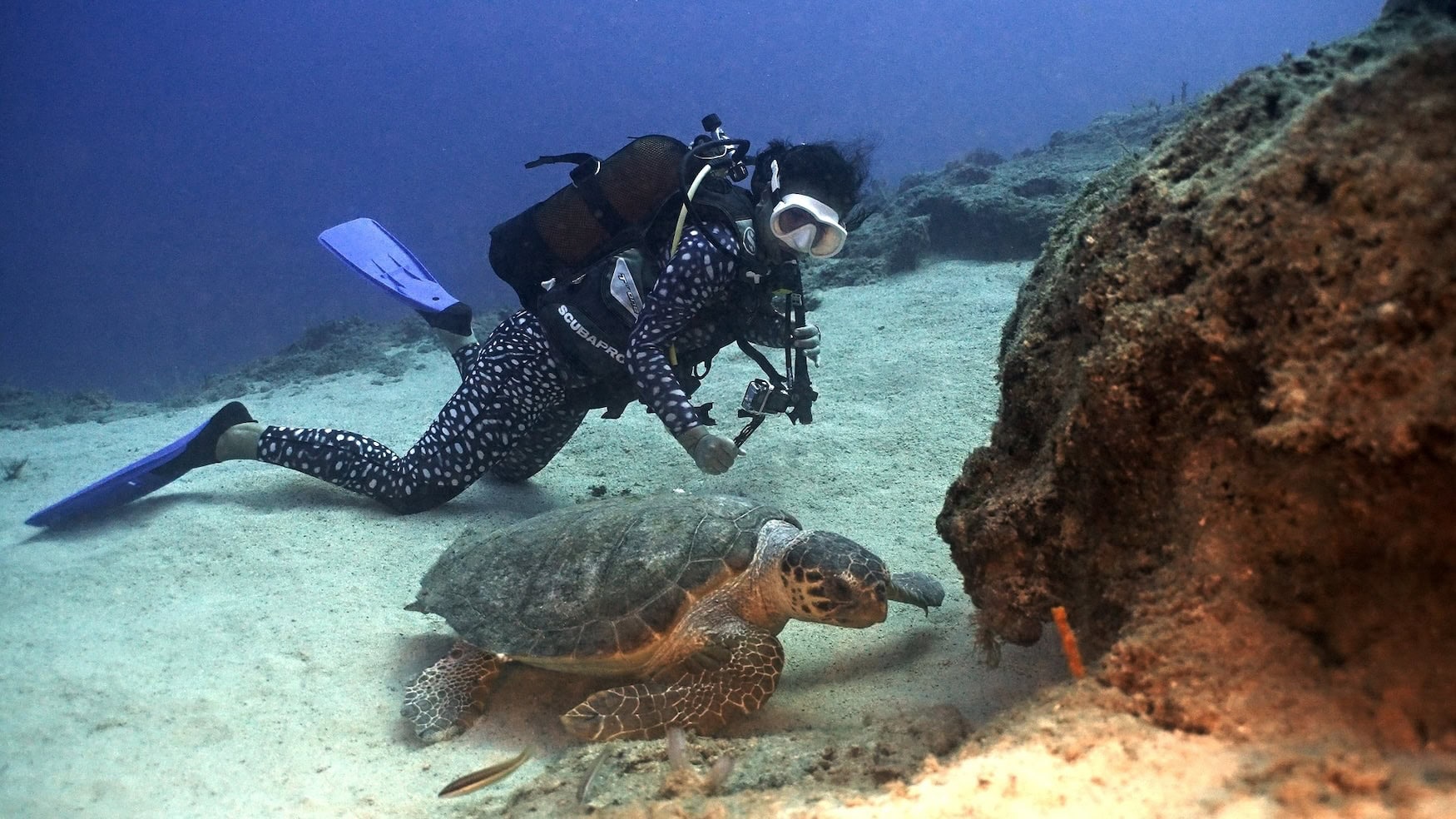 Eine Frau taucht neben einer Schildkröte vor Küste der Türkei. Ein Outdoor-Erlebnis der Extraklasse.