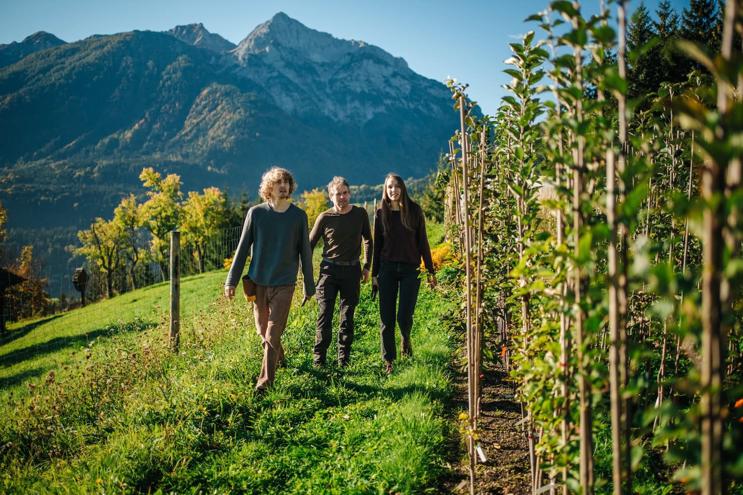 Drei Menschen laufen auf einer Streuobstwiese.