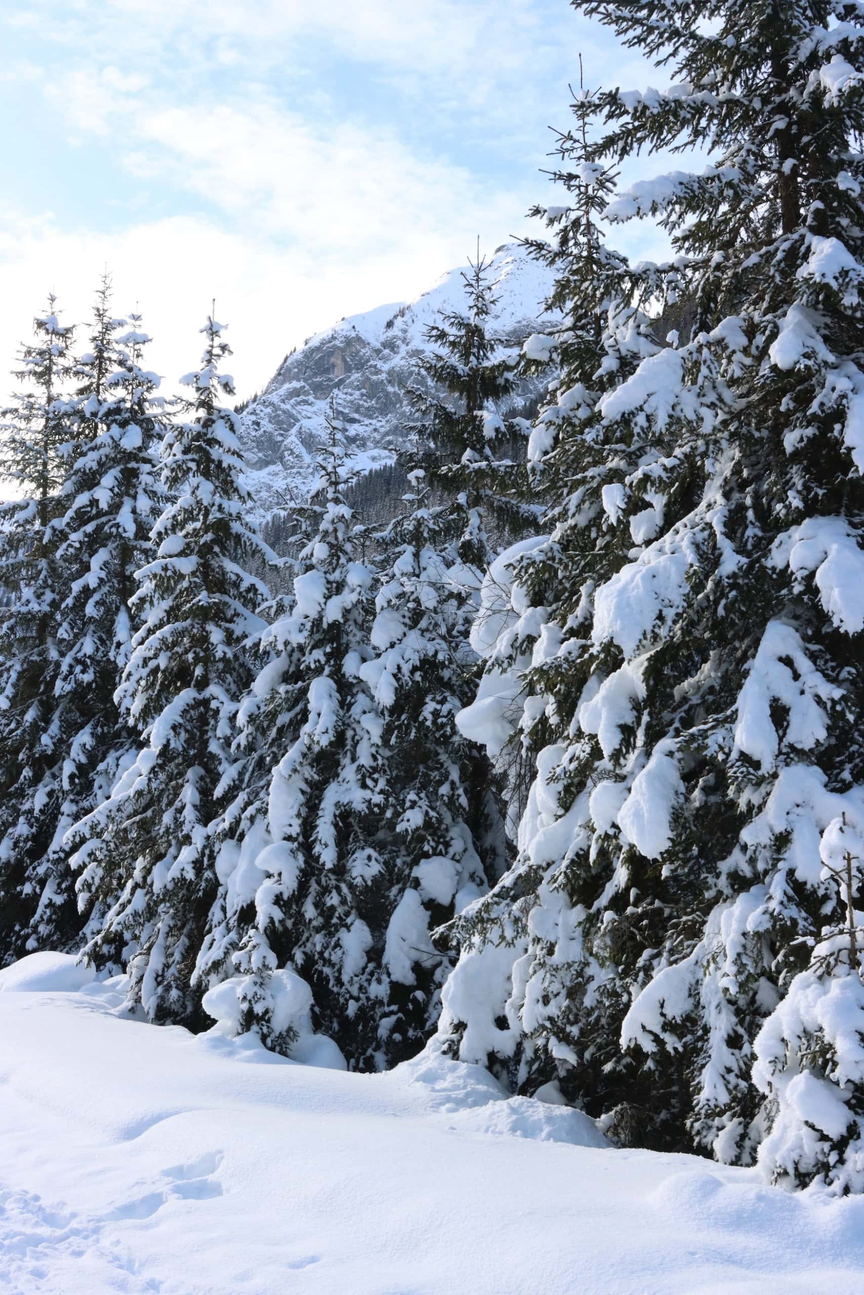 Gailtaler Alpen beim Winterwandern in Osttirol