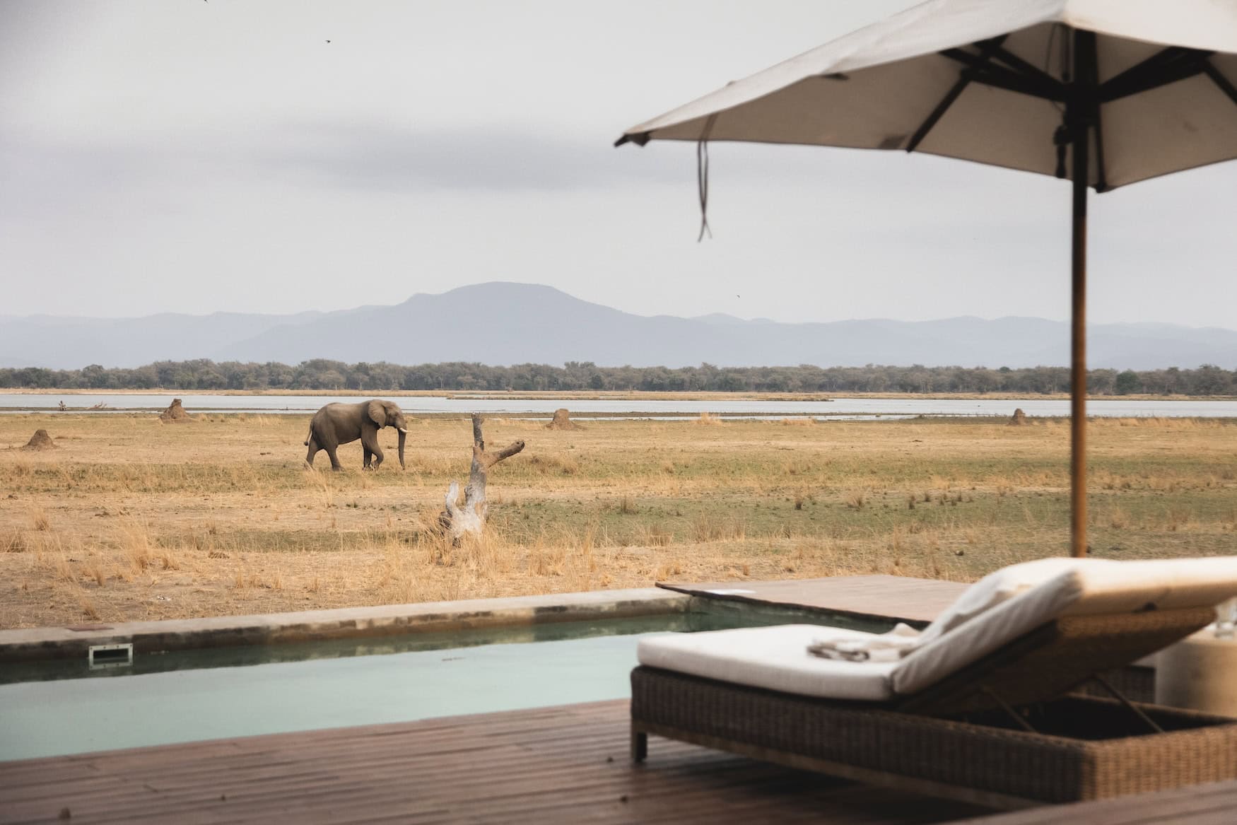 Safari in Afrika: Pool im Chikwenya Camp im Mana Pools Nationalpark in Simbabwe