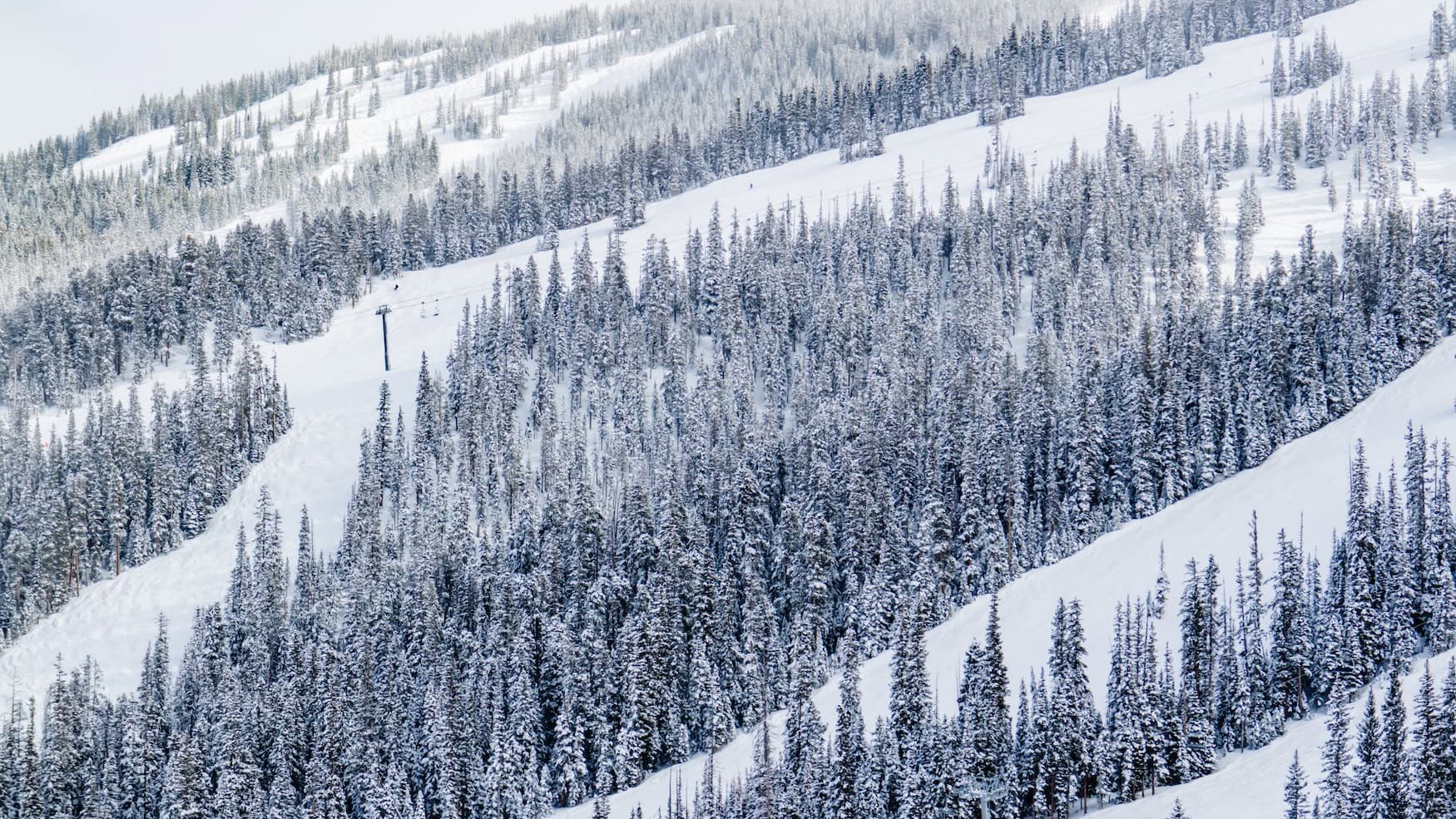 Skigebiet Aspen Snowmass in Colorado