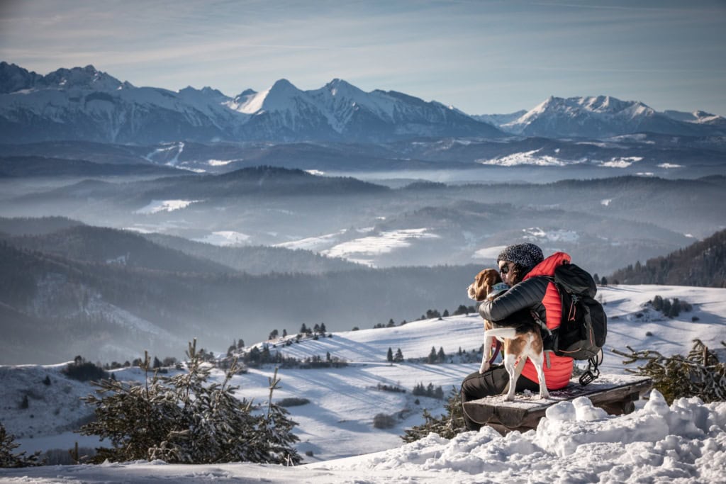 Mensch mit Hund in den Alpen im Winter am Wandern