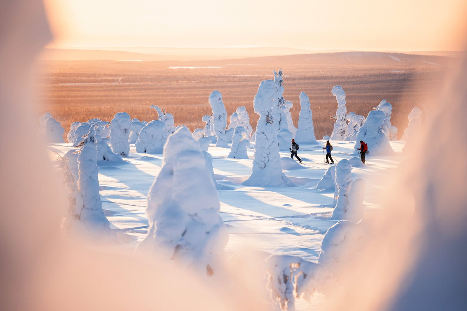 Schneeschuhwandern in Luka-Kuusamo
