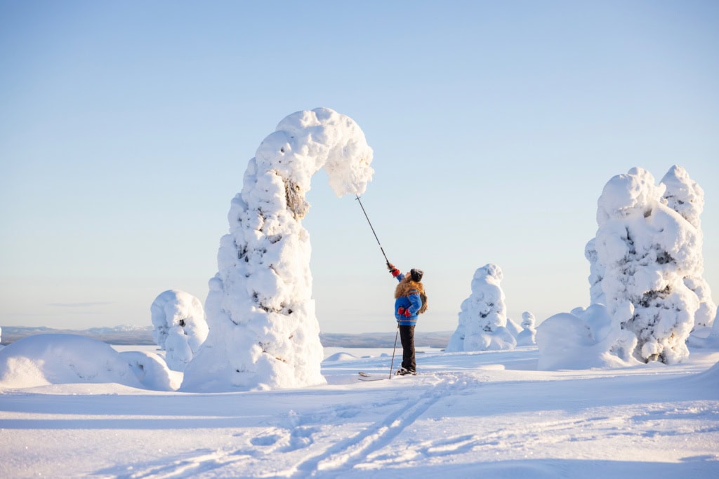Eingeschneite Bäume in Ruka-Kuusamo