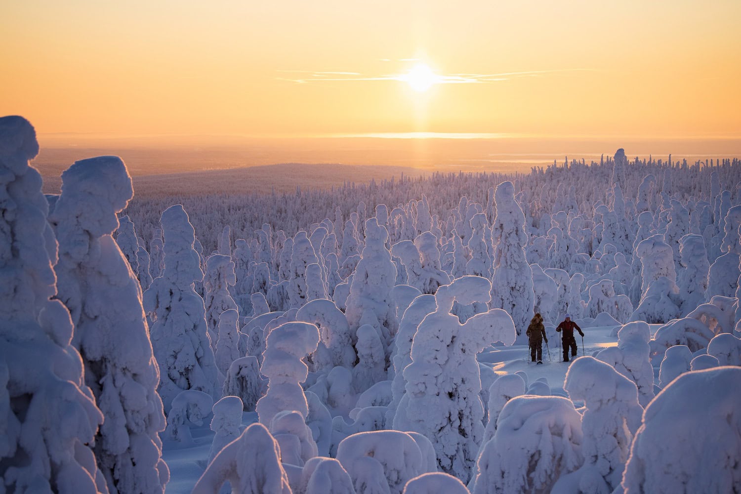 Die Valtavaara-Loipe führt auf den 492 Meter hohen Valtavaara-Hügel, wo sich ein Panorama über die Fjälllandschaft öffnet
