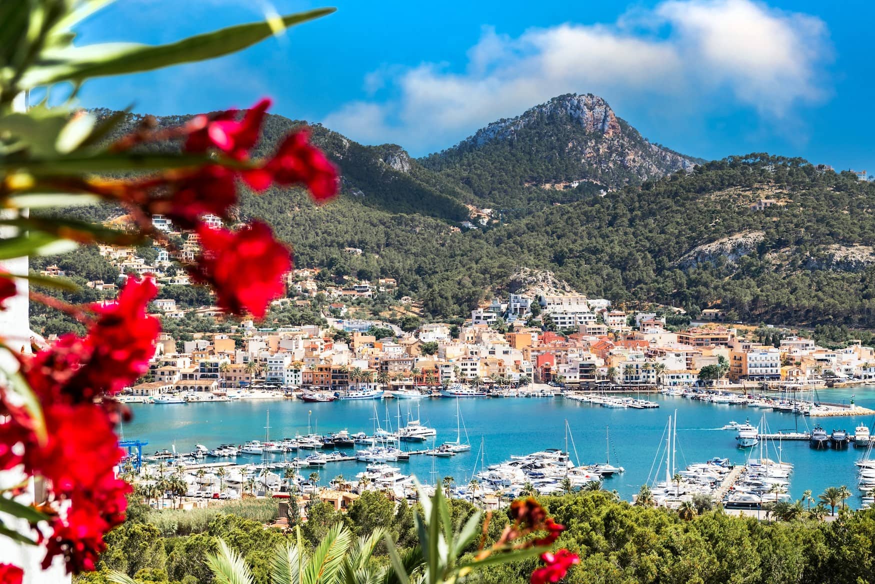 Port d'Andratx.