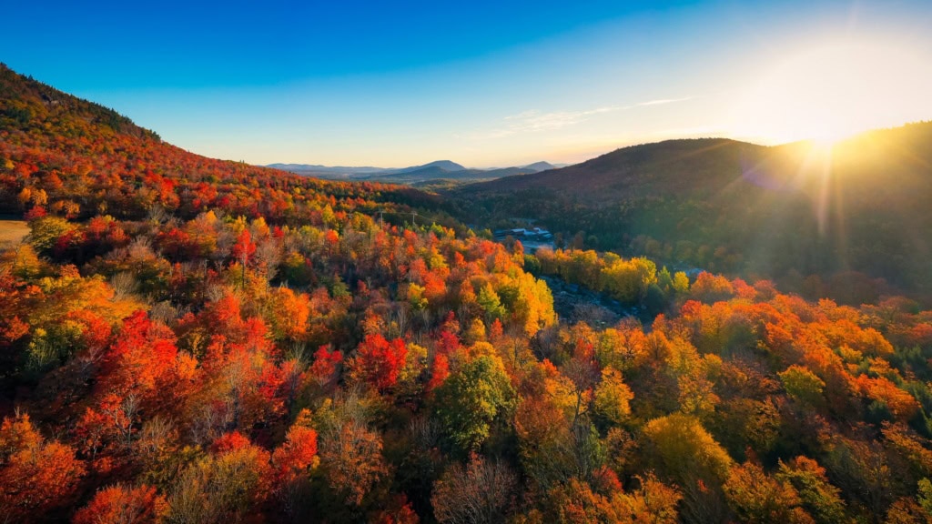 Ein bunt gefärbter Wald im US-Bundesstaat New York.