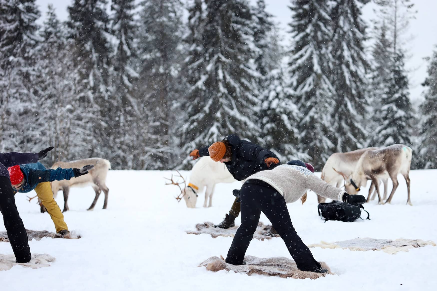 Rentier-Yoga in Ruka-Kuusamo