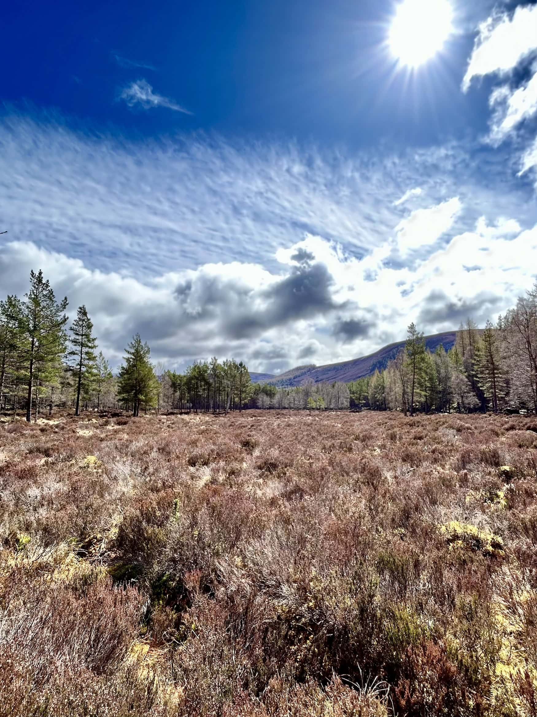 Landschaft in den schottischen Highlands