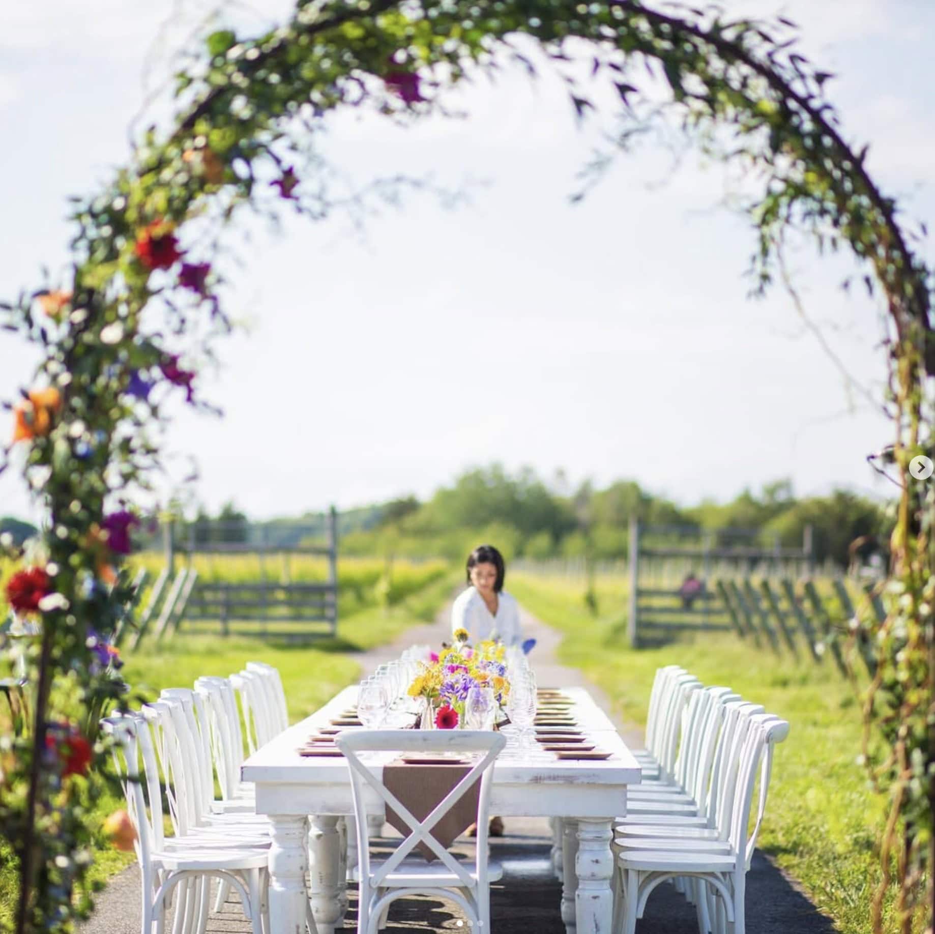 Weingüter auf Long Island: Macari Vineyards