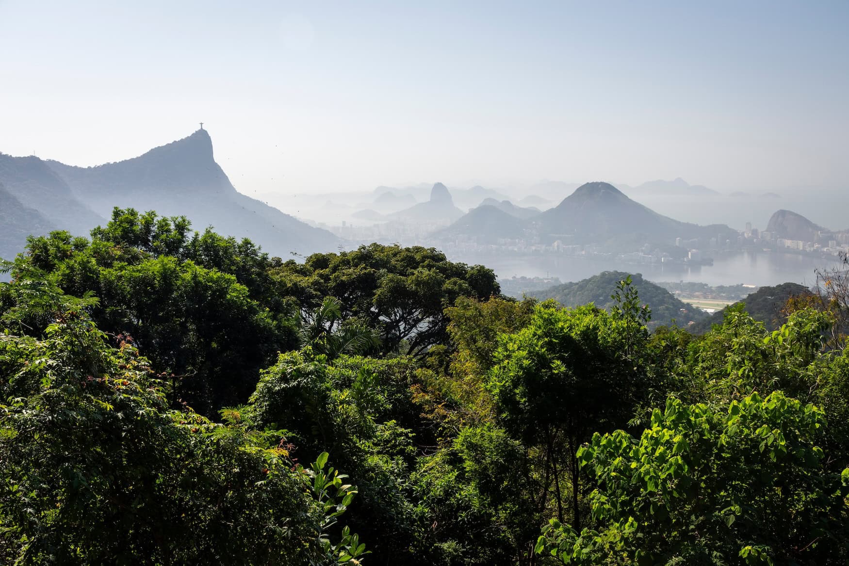 Der Tijuca-Nationalpark. 