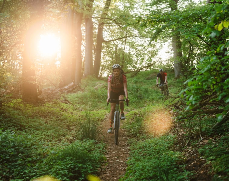 Auf dem Gravelbike durch den Wald im Peenetal