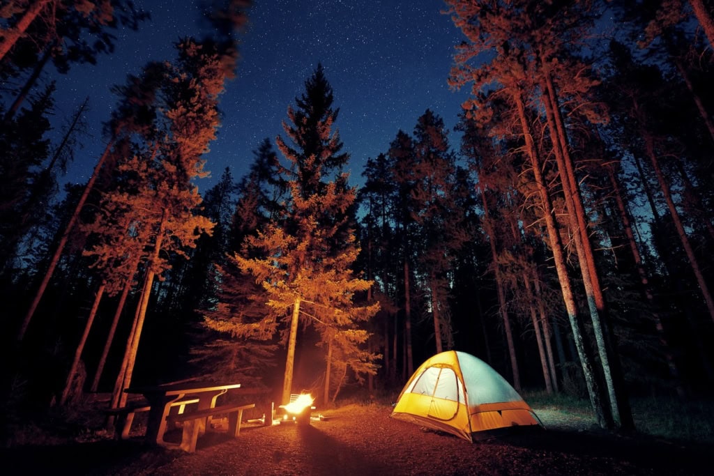 Ein toller Ort zum Sterne beobachten: der Jasper National Park. 