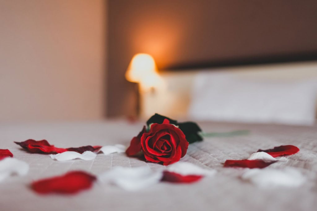 Rose und Rosenblätter liegen auf Bett eines Hotelzimmers