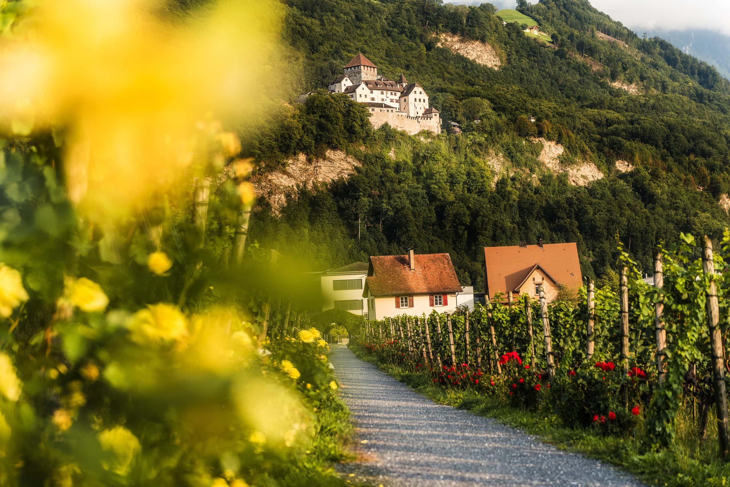 Blick auf das Schloss Vaduz in Liechtenstein.