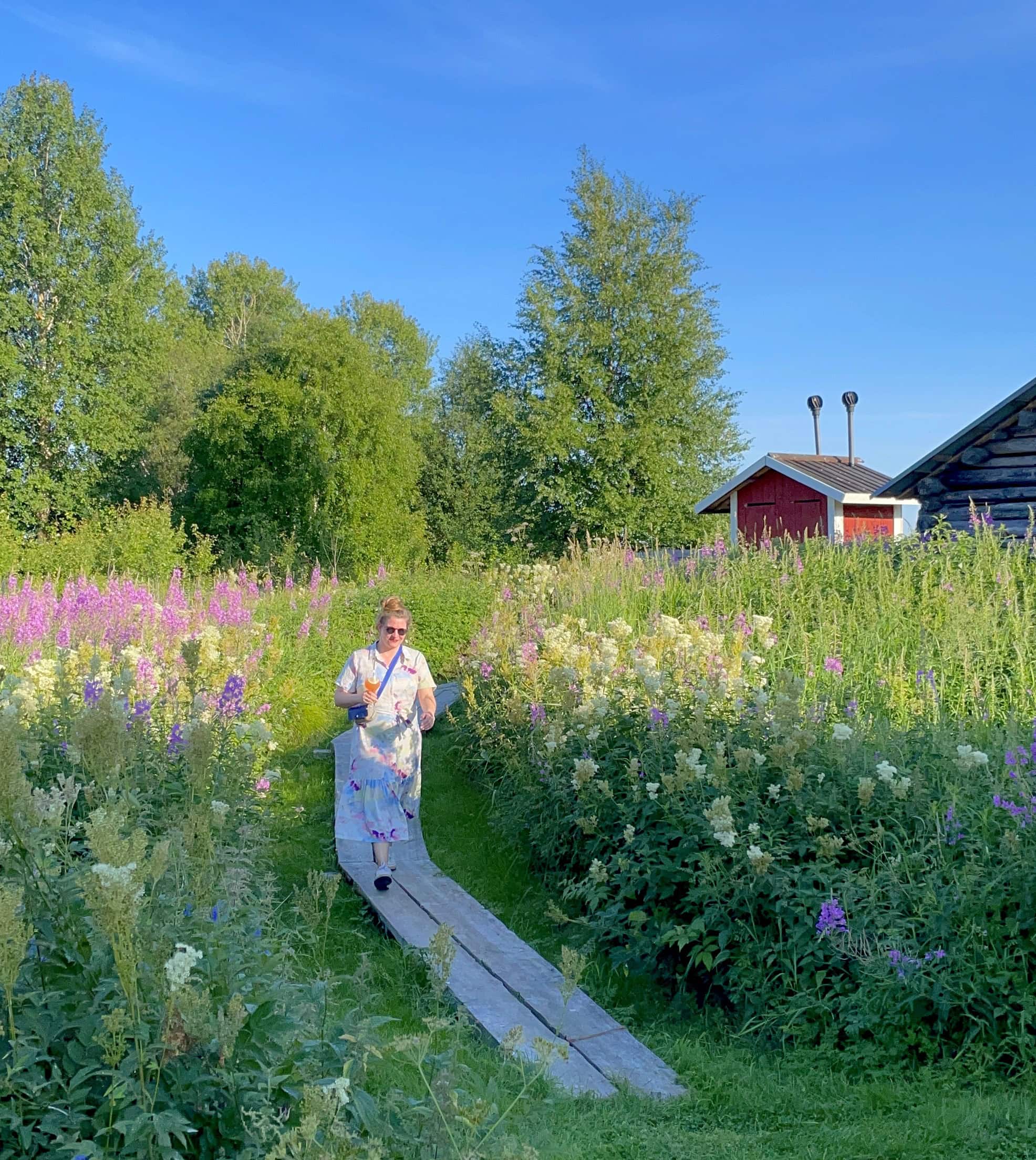 Sommer-Urlaub in Lappland: die Insel Kotisaari bei Rovaniemi