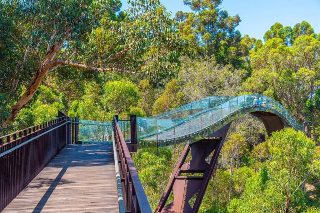 Der Kings Park in Perth.