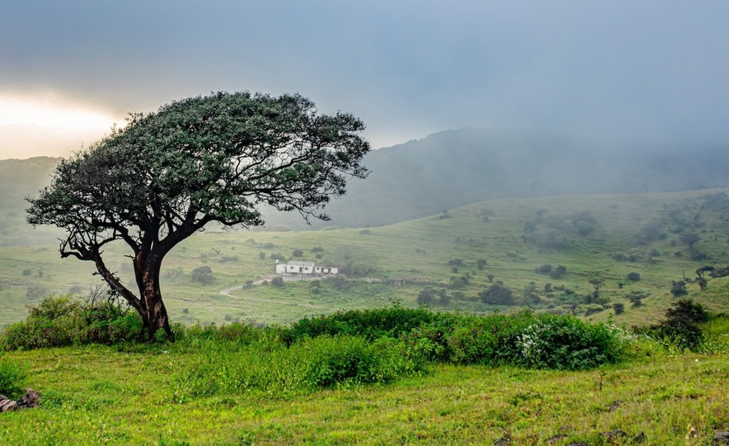 Salalah in Oman.