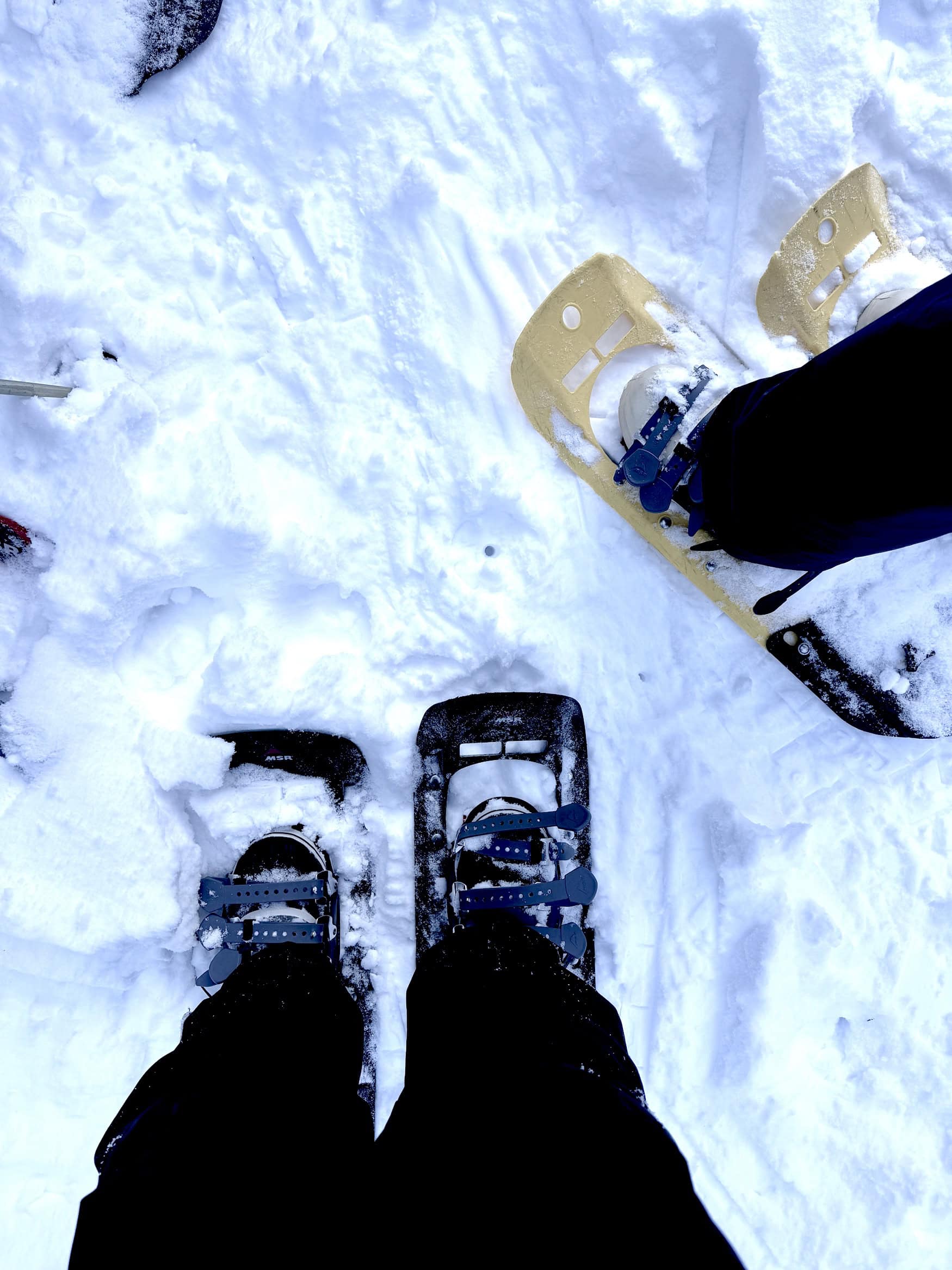 Schneestiefel im kanadischen Winter
