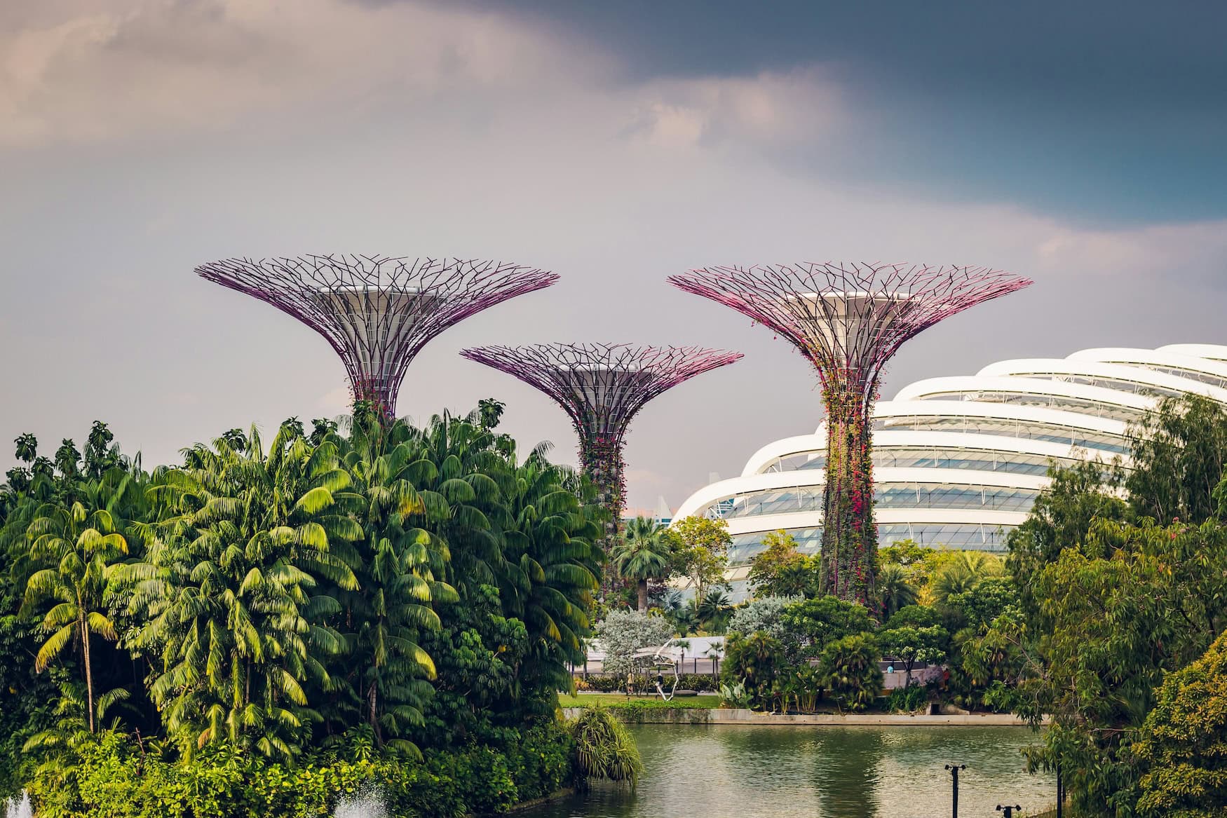 Die Supertrees in der Parkanlage Gardens by the Bay in Singapur.