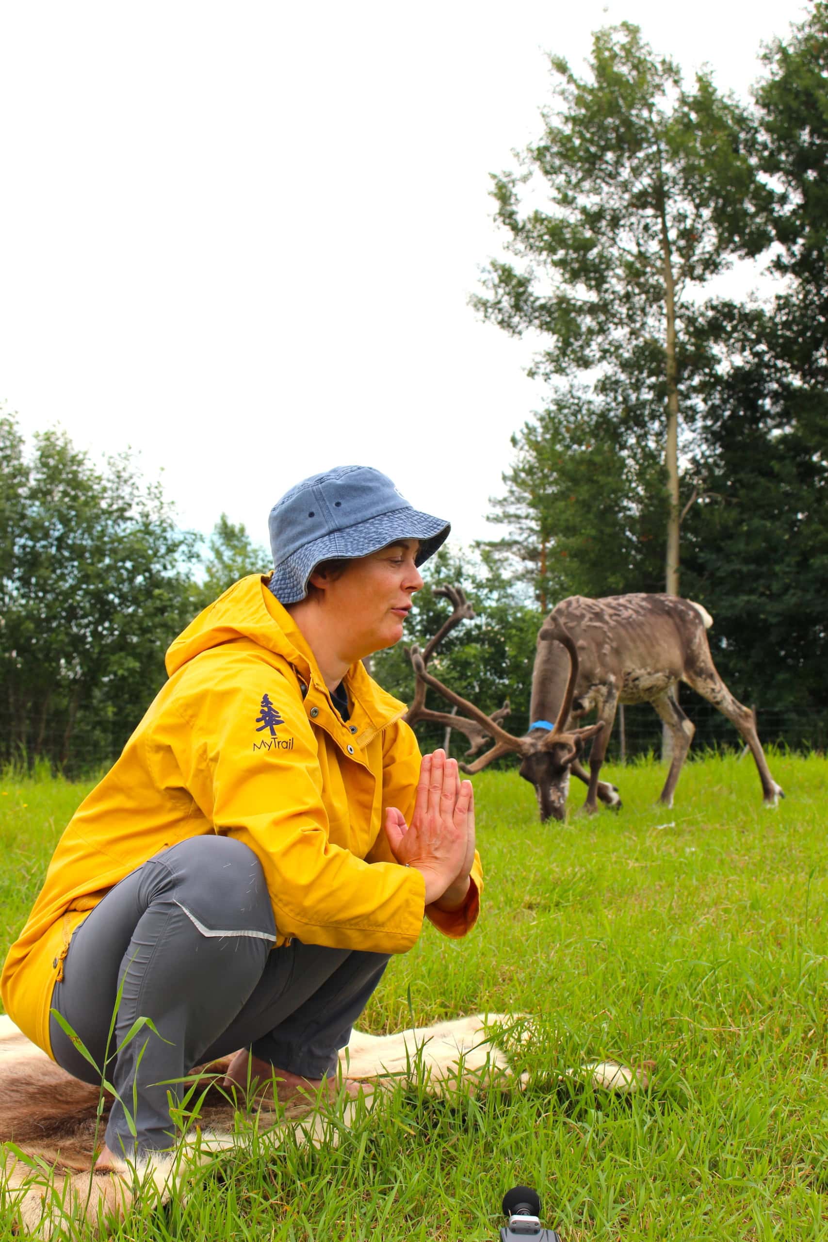 Rentier-Yoga in Finnland